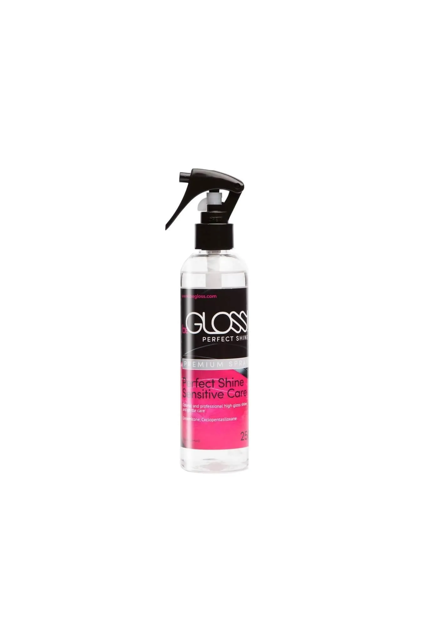 BeGloss Latex Shine & Care Kit