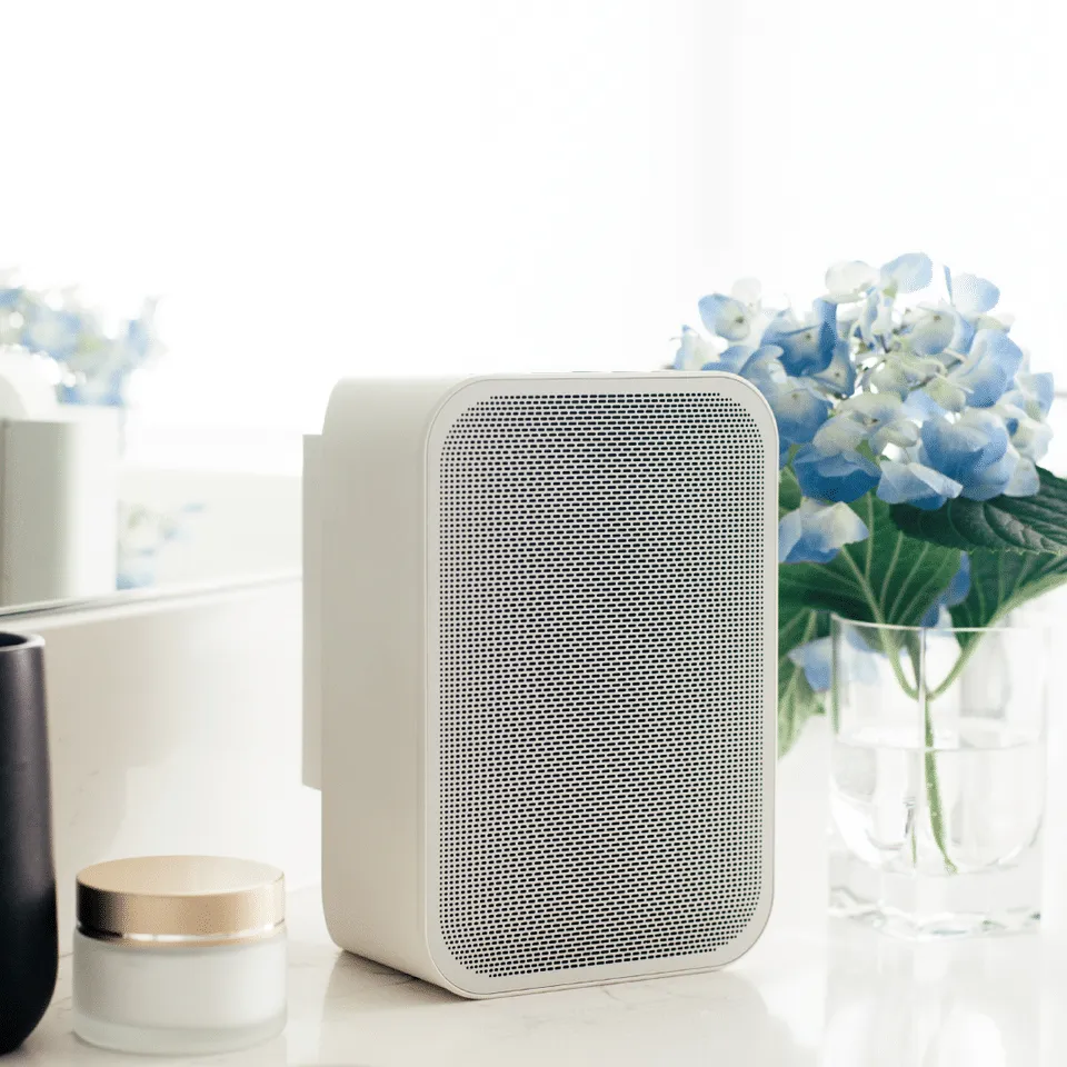 Bluesound Pulse Flex 2i   BP100 Speaker and Battery Pack Combo