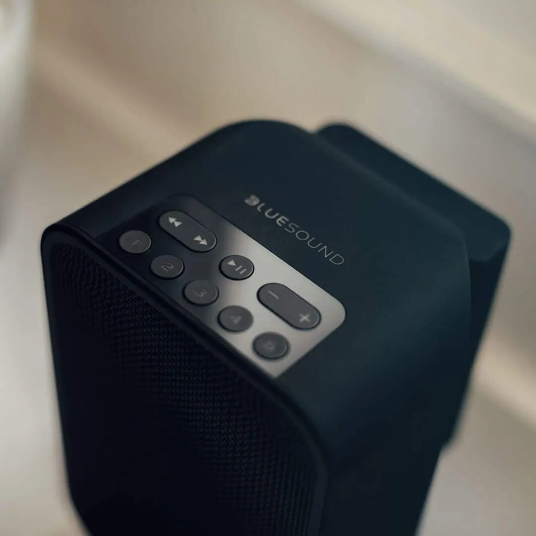 Bluesound Pulse Flex 2i   BP100 Speaker and Battery Pack Combo