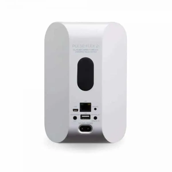 Bluesound Pulse Flex 2i Compact Portable All-in-One Wireless Speaker