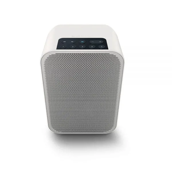 Bluesound Pulse Flex 2i Compact Portable All-in-One Wireless Speaker