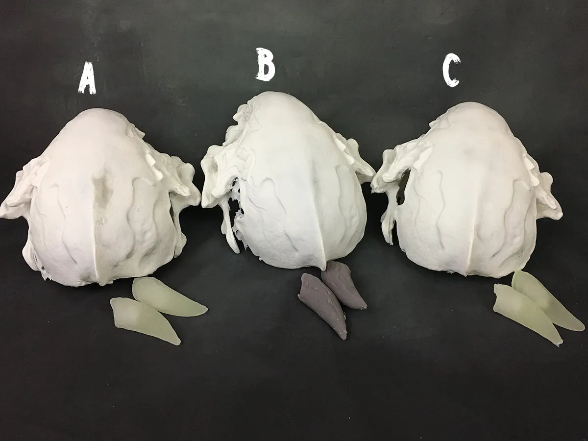 FATALIS MASK BLANK