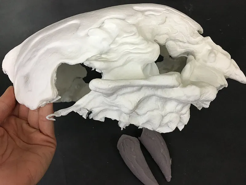 FATALIS MASK BLANK