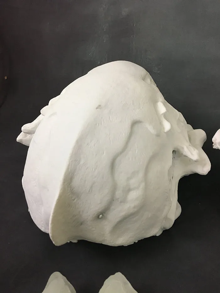 FATALIS MASK BLANK