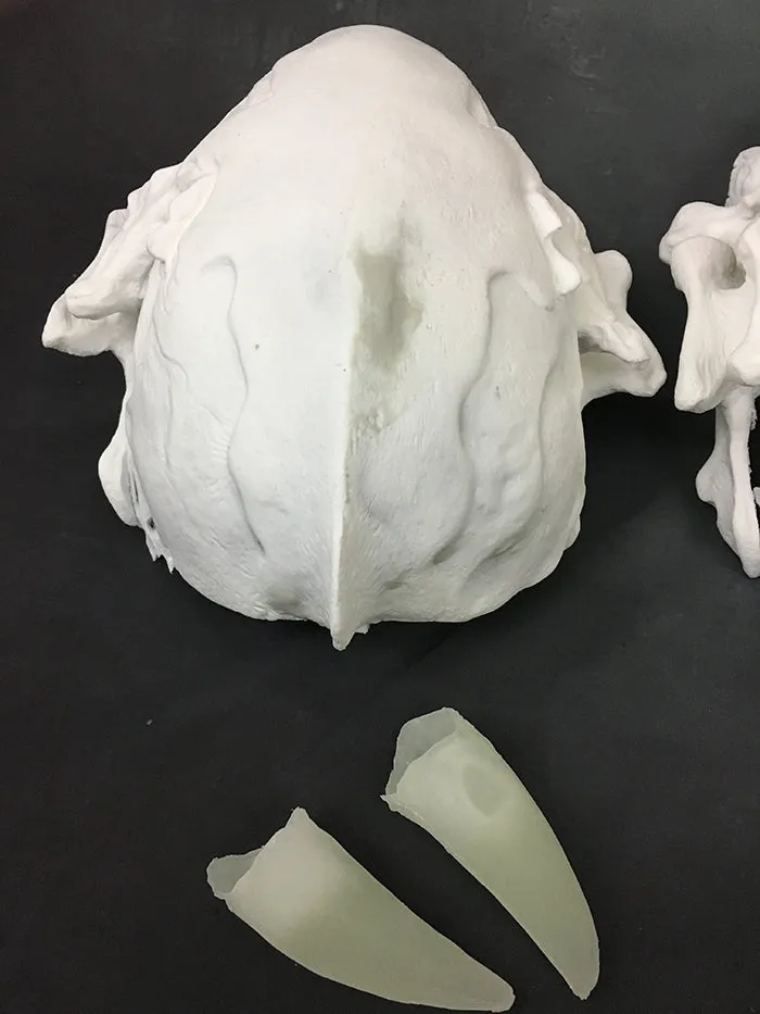 FATALIS MASK BLANK