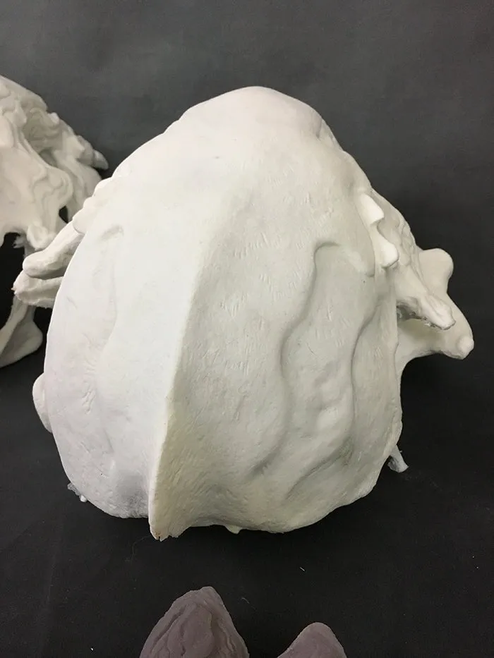FATALIS MASK BLANK