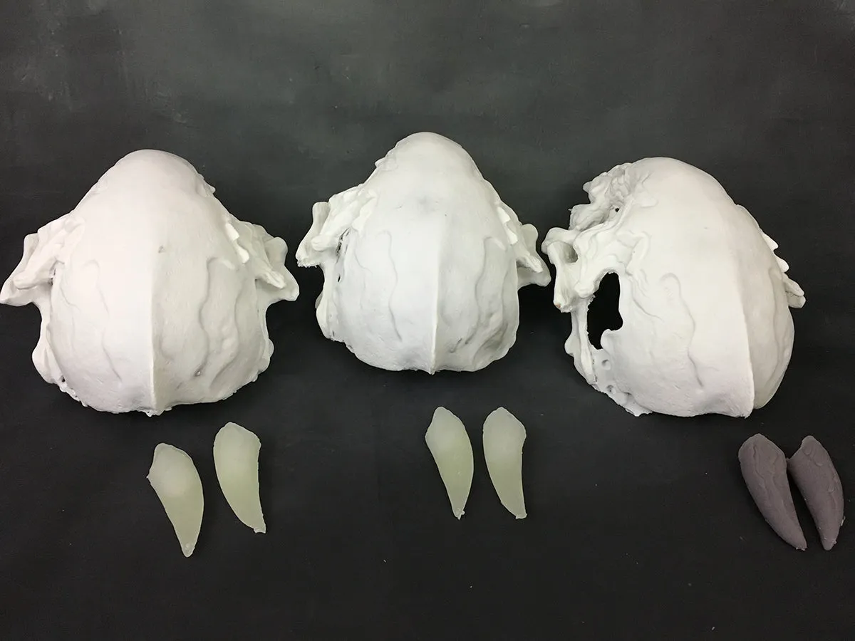 FATALIS MASK BLANK