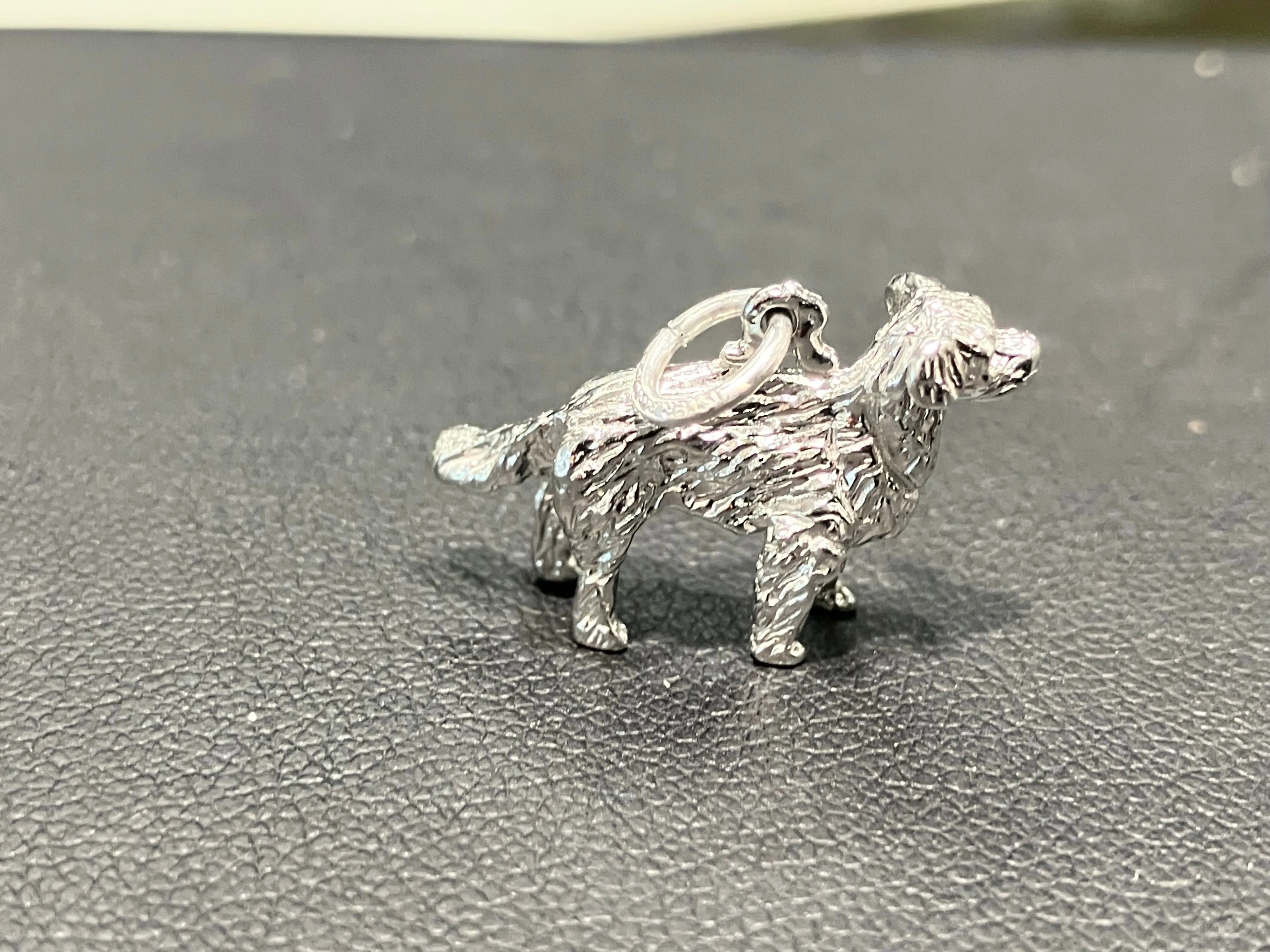 Golden Retriever Silver Charm