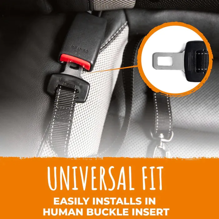 Mighty Paw Ultimate Safe Travel Bundle for Dogs