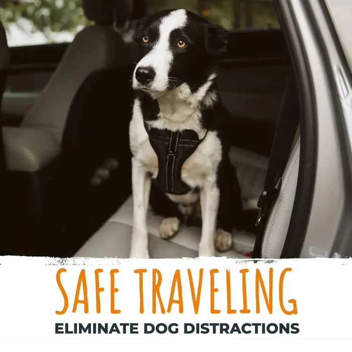 Mighty Paw Ultimate Safe Travel Bundle for Dogs