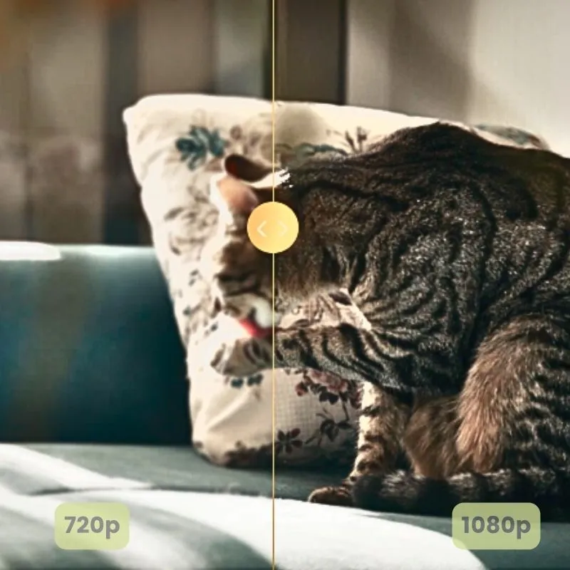 Petoneer Intelligent HD Pet Camera