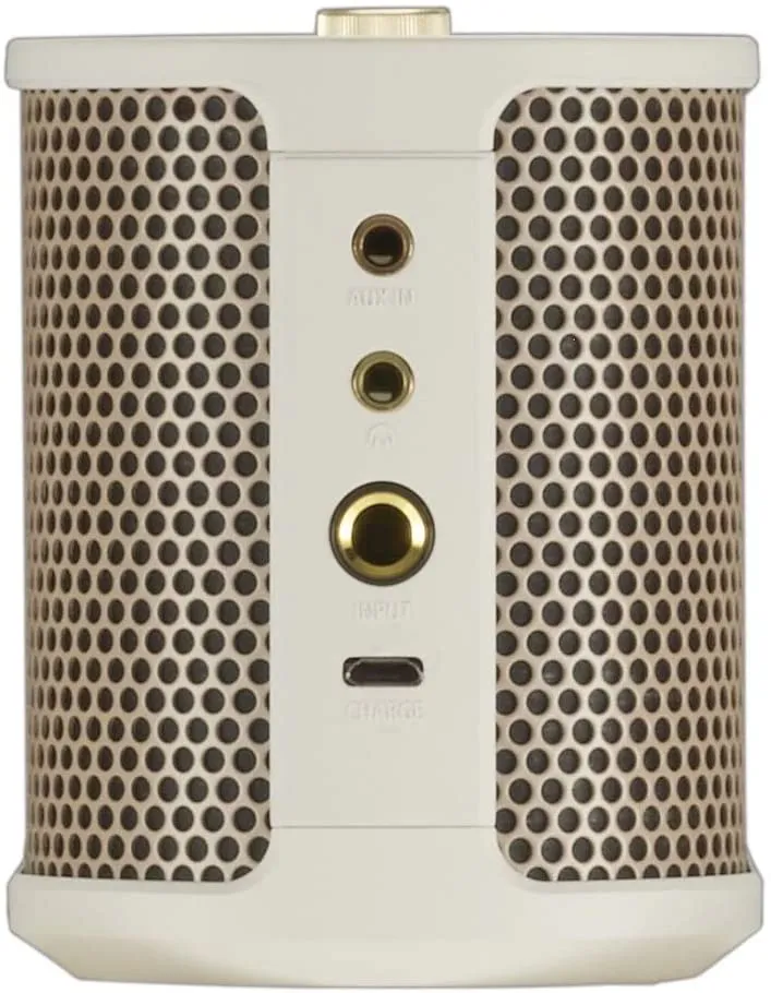 Roland BTM-1 Bluetooth Speaker with Guitar Input