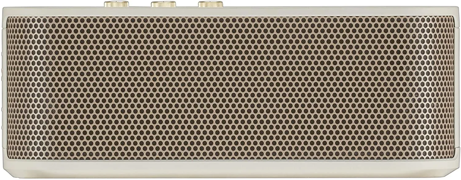 Roland BTM-1 Bluetooth Speaker with Guitar Input