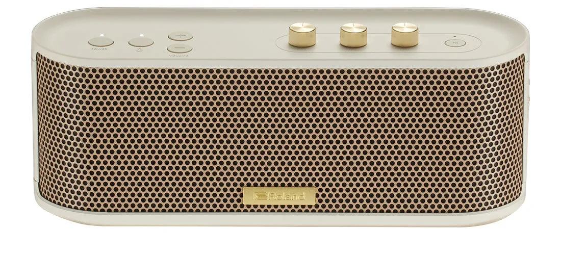 Roland BTM-1 Bluetooth Speaker with Guitar Input