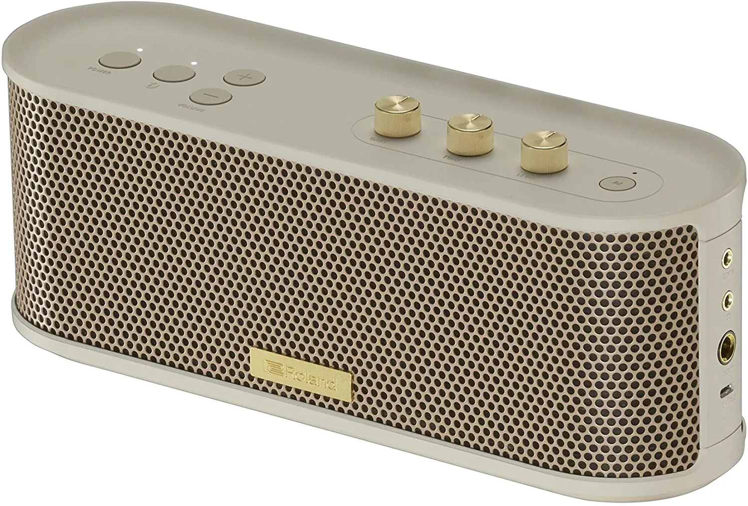 Roland BTM-1 Bluetooth Speaker with Guitar Input