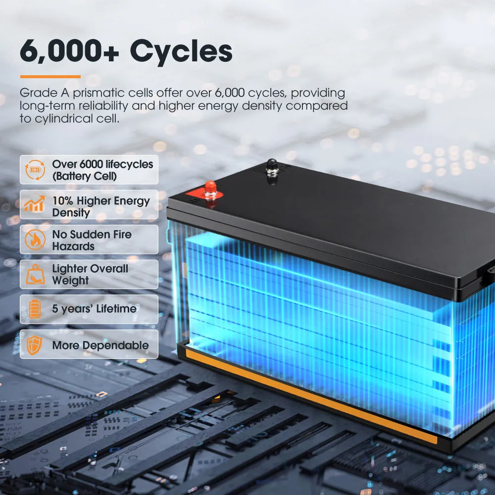 San Hima 12V 200Ah Lithium Iron Phosphate Battery Self-heating   12V Control Box